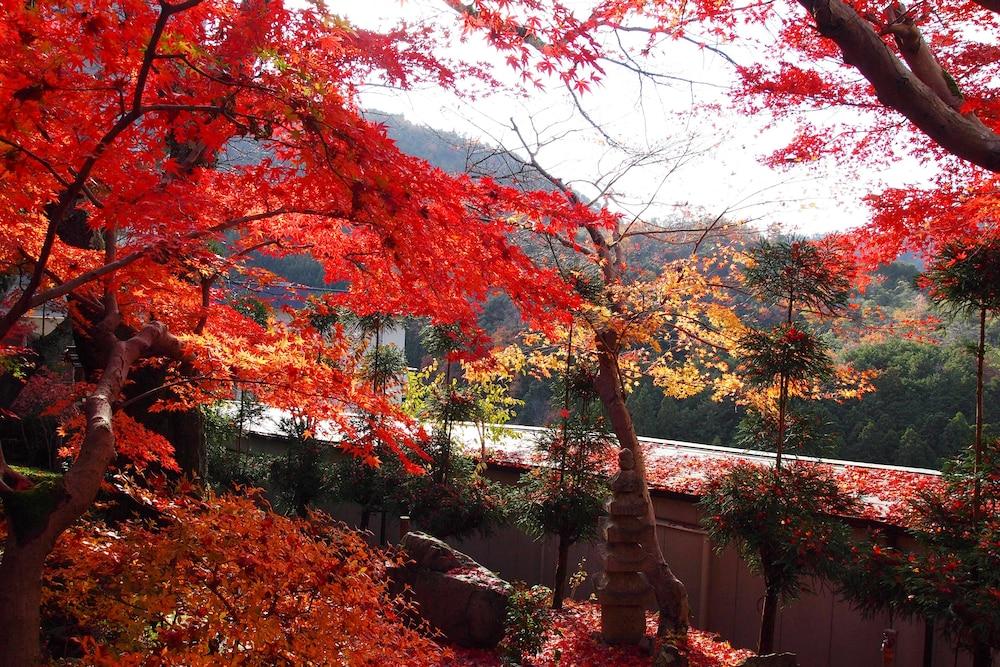 Ryokan Nenrinbo Quioto Exterior foto